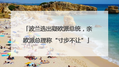 波兰选出疑欧派总统，亲欧派总理称“寸步不让”