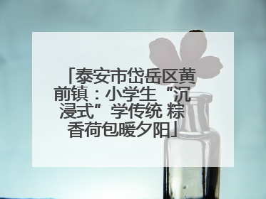 泰安市岱岳区黄前镇：小学生“沉浸式”学传统 粽香荷包暖夕阳