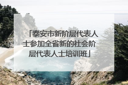泰安市新阶层代表人士参加全省新的社会阶层代表人士培训班