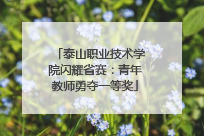 泰山职业技术学院闪耀省赛：青年教师勇夺一等奖