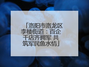 洛阳市洛龙区李楼街道：百企千店齐拥军 共筑军民鱼水情