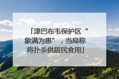 津巴布韦保护区“象满为患”，当局称将扑杀供居民食用