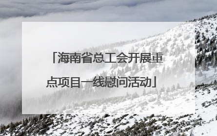 海南省总工会开展重点项目一线慰问活动