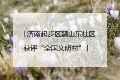 济南起步区鹊山东社区获评“全国文明村”
