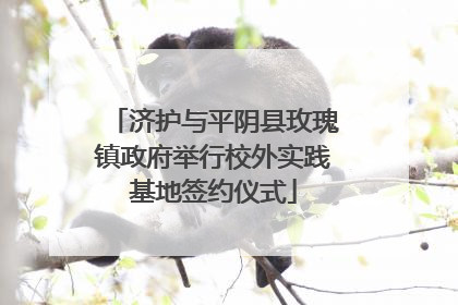 济护与平阴县玫瑰镇政府举行校外实践基地签约仪式