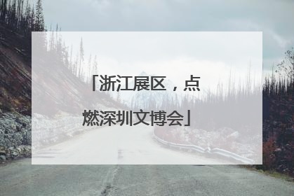 浙江展区，点燃深圳文博会
