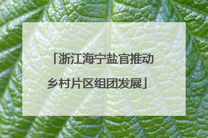 浙江海宁盐官推动乡村片区组团发展