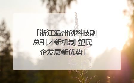 浙江温州创科技副总引才新机制 塑民企发展新优势