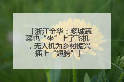 浙江金华：婺城蔬菜也“坐”上了飞机，无人机为乡村振兴插上“翅膀”