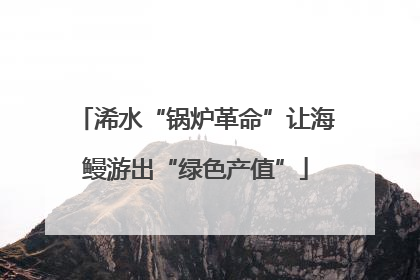 浠水“锅炉革命”让海鳗游出“绿色产值”