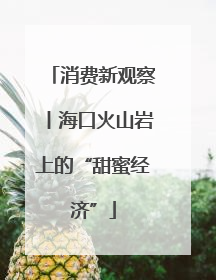 消费新观察丨海口火山岩上的“甜蜜经济”