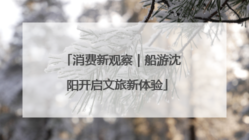 消费新观察｜船游沈阳开启文旅新体验