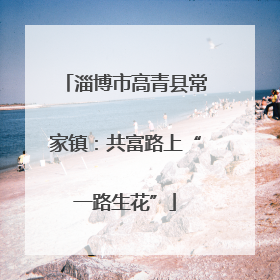淄博市高青县常家镇：共富路上“一路生花”