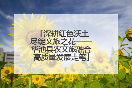 深耕红色沃土 尽绽文旅之花——华池县农文旅融合高质量发展走笔