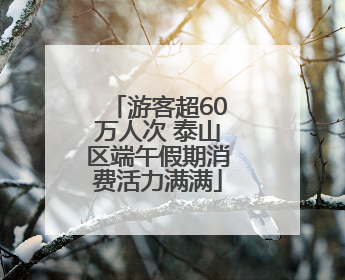 游客超60万人次 泰山区端午假期消费活力满满