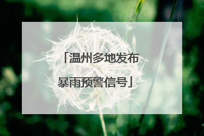 温州多地发布暴雨预警信号