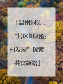 温州洞头：“片区组团强村发展”探索共富新路