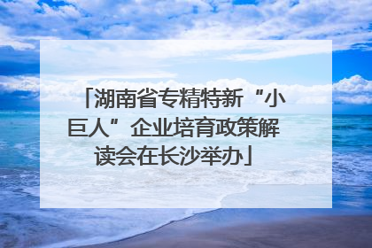 湖南省专精特新“小巨人”企业培育政策解读会在长沙举办