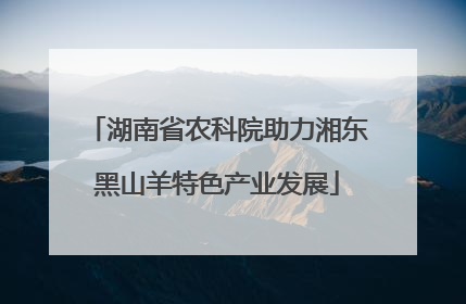 湖南省农科院助力湘东黑山羊特色产业发展
