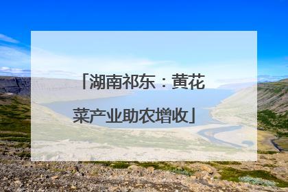 湖南祁东：黄花菜产业助农增收