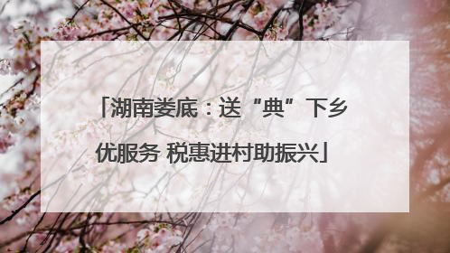 湖南娄底：送“典”下乡优服务 税惠进村助振兴