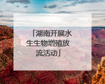 湖南开展水生生物增殖放流活动