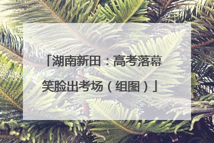 湖南新田：高考落幕 笑脸出考场（组图）