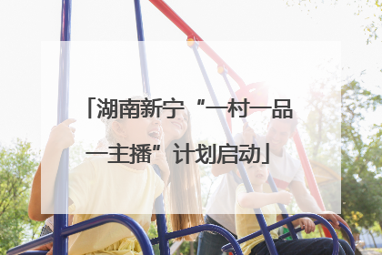 湖南新宁“一村一品一主播”计划启动