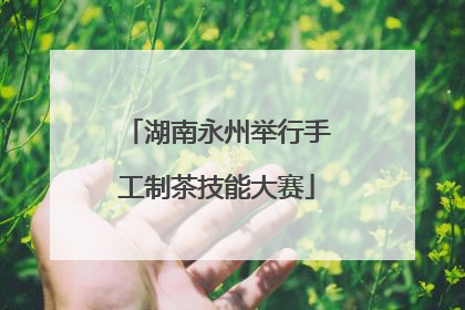 湖南永州举行手工制茶技能大赛