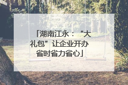 湖南江永：“大礼包”让企业开办省时省力省心