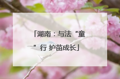 湖南：与法“童”行 护苗成长