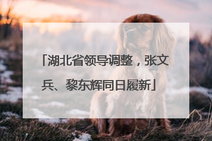 湖北省领导调整，张文兵、黎东辉同日履新
