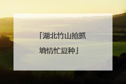 湖北竹山抢抓墒情忙夏种