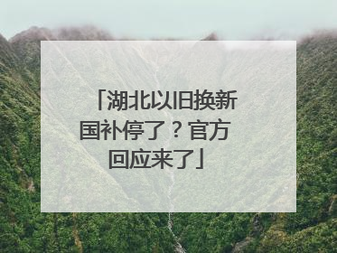 湖北以旧换新国补停了？官方回应来了