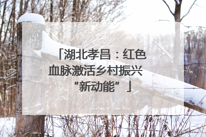 湖北孝昌：红色血脉激活乡村振兴“新动能”