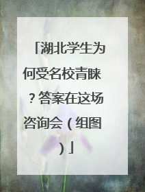 湖北学生为何受名校青睐？答案在这场咨询会（组图）
