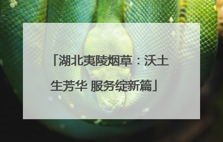 湖北夷陵烟草：沃土生芳华 服务绽新篇