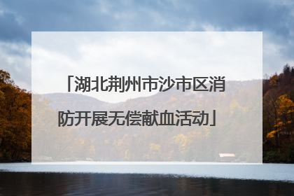湖北荆州市沙市区消防开展无偿献血活动