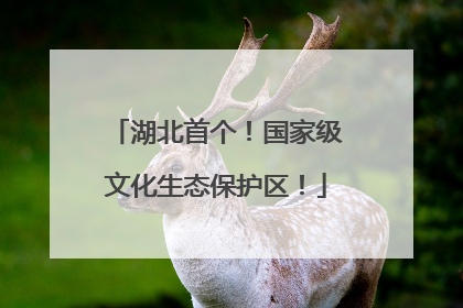 湖北首个！国家级文化生态保护区！