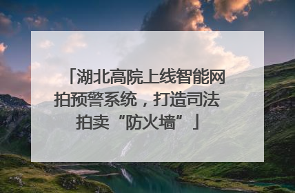 湖北高院上线智能网拍预警系统，打造司法拍卖“防火墙”