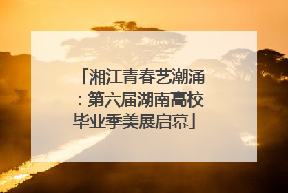 湘江青春艺潮涌：第六届湖南高校毕业季美展启幕