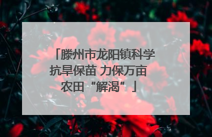 滕州市龙阳镇科学抗旱保苗 力保万亩农田“解渴”