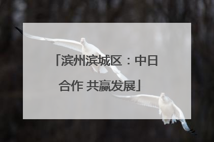 滨州滨城区：中日合作 共赢发展