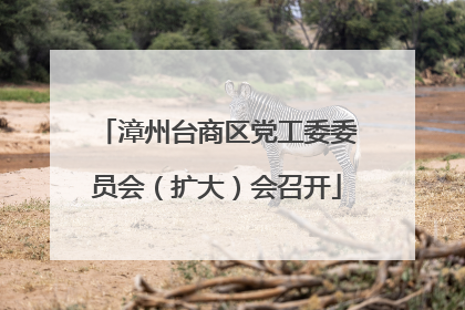 漳州台商区党工委委员会（扩大）会召开