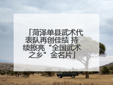 菏泽单县武术代表队再创佳绩 持续擦亮“全国武术之乡”金名片