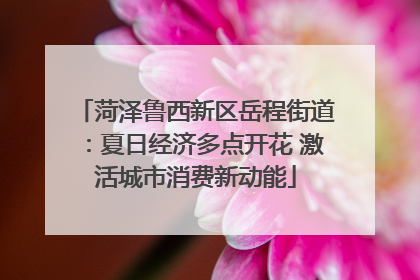 菏泽鲁西新区岳程街道：夏日经济多点开花 激活城市消费新动能