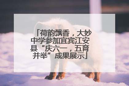 荷韵飘香，大妙中学参加宜宾江安县“庆六一，五育并举”成果展示