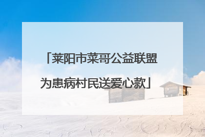 莱阳市菜哥公益联盟为患病村民送爱心款
