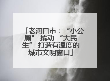 老河口市：“小公厕” 撬动 “大民生” 打造有温度的城市文明窗口