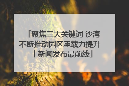 聚焦三大关键词 沙湾不断推动园区承载力提升丨新闻发布最前线